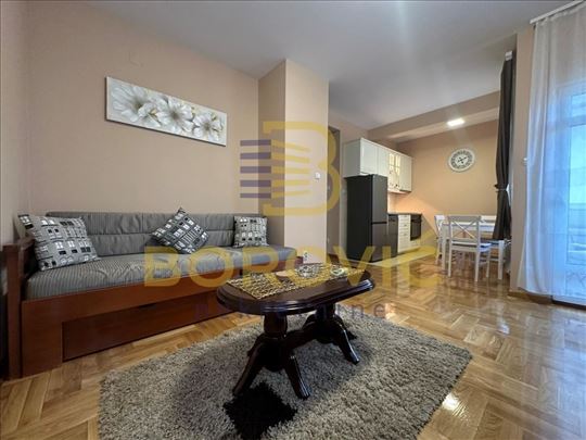 Saobraćajni fakultet, 46m2, renoviran, parking mes