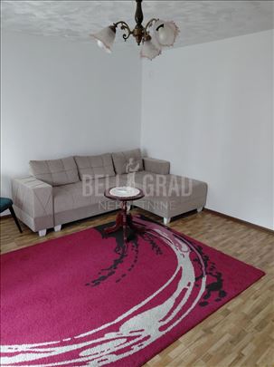 Filmski grad, Arčibalda Rajsa