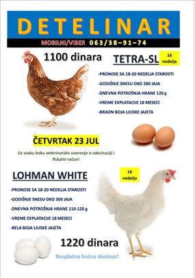 Prodaja nosilja – hibridi TETRA-SL i LOHMAN WHITE 
