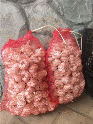 Beli luk Bosut
