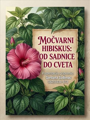 Prodajem sadnice močvarnog hibiskusa