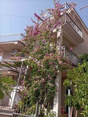 Sutomore, apartmani, 500m od plaže 