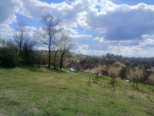 Lipovica-Trebež, 50 ari, uknjiženo, odličan