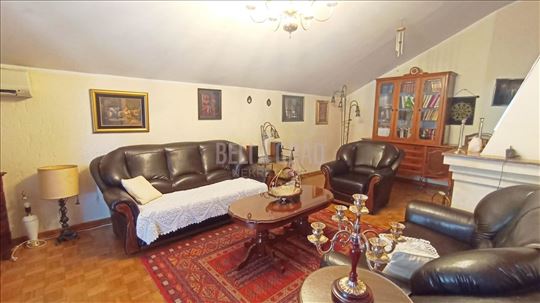Dalmatinska, odlična struktura, galerija, uknjižen