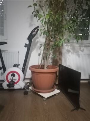 Postolje za saksije i žardinjere sa točkićima