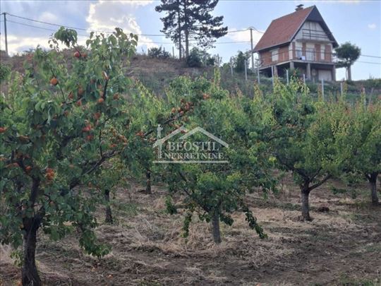 Plac - Zaklopača - 9ari ID#25533