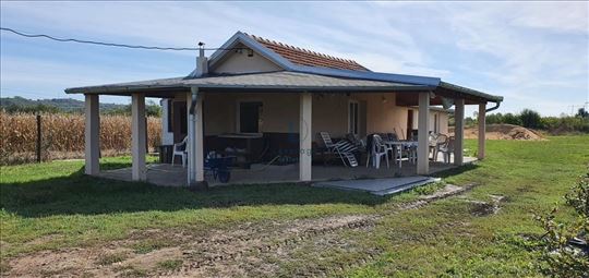 Obrenovac, plantaža borovnica, 5,2 ha i kuća 30m2
