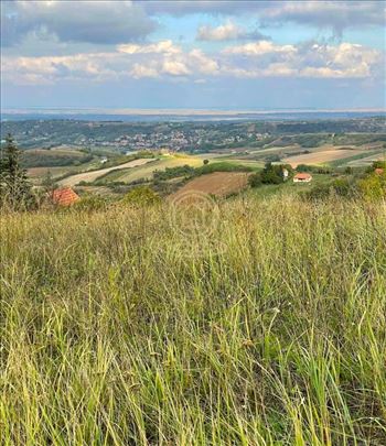 2500m² sa pogledom na grad, Alibegovac, Sremska Ka