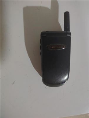 Motorola bebica