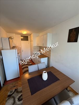 Dvosoban stan u Dositejevoj