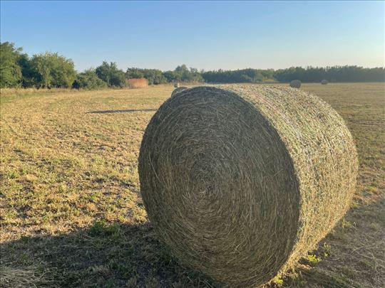 Lucerka rol-bale