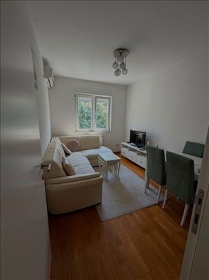 Presevska, 2.0, pet friendly