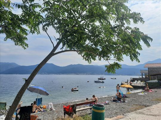 Krašići, Septembar 25-30e studio