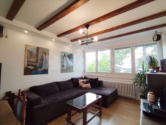 Stan na Banovom brdu, 2.0, 50 m2 