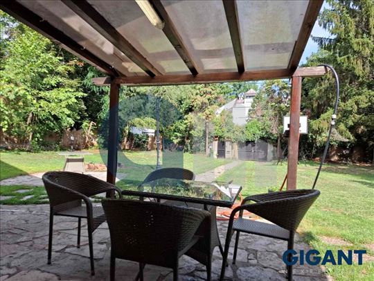 Dedinje, 150m2, gas, renovirano, izuzetno