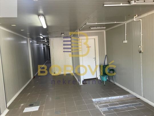 Veliki mokri lug, 150m2, 3 ara