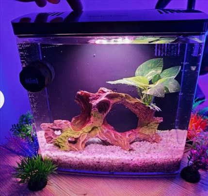 Mini USB Akvarijum za ribice 4.5l + pumpa