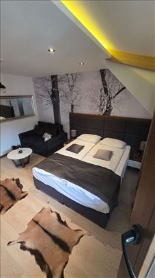 Apartman 24m², Zoned Apart & Spa, Kopaonik