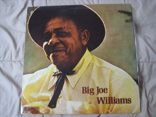 Big Joe Williams