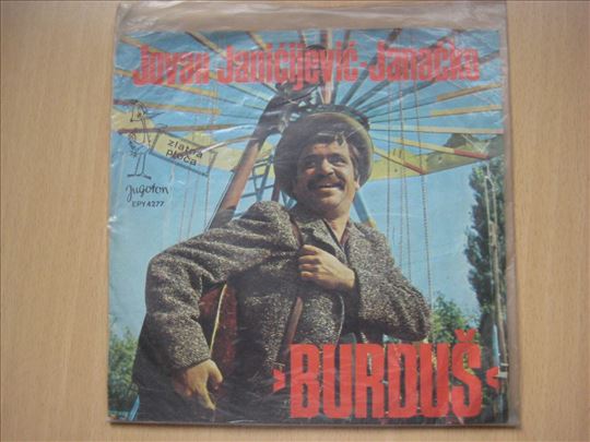 Burdus