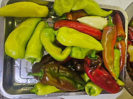 Organsko povrće, paprika, paradajz, krastavac