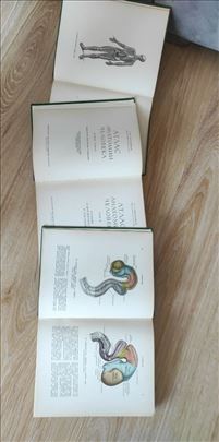 Anatomski atlas čoveka 1-3 Sinelnikov na ruskom