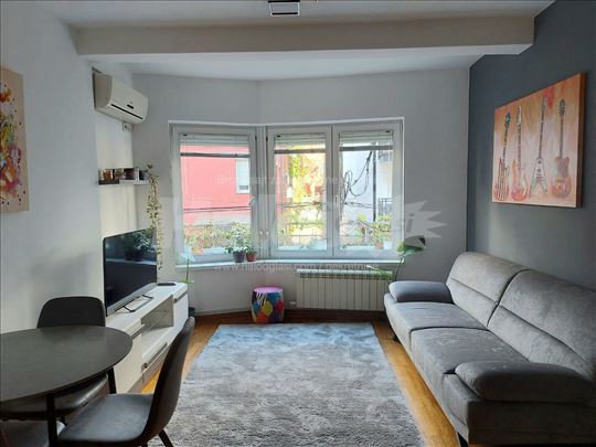 2.0 - 40m2 - Lion - Vojislava Ilića 
