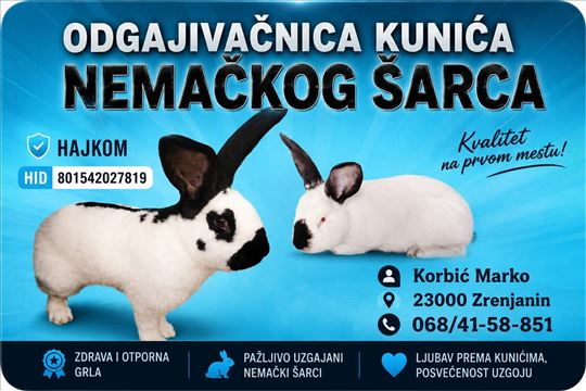 Hajkom kunići