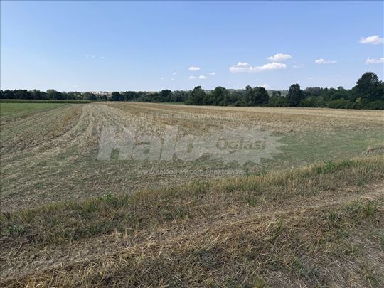 Parcela / njiva 2,15 ha – Smederevska Palanka, uz