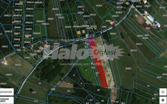 Babe, Sopot - 33.38 + 3 ara