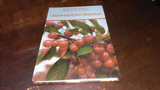 Oblačinska višnja