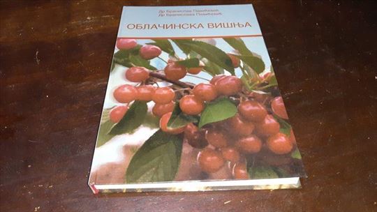 Oblačinska višnja