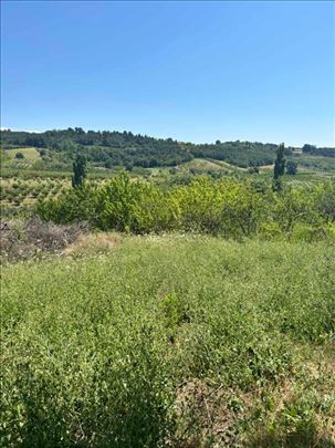  Prodaja placa Grocka Zaklopača 10,36 ari 