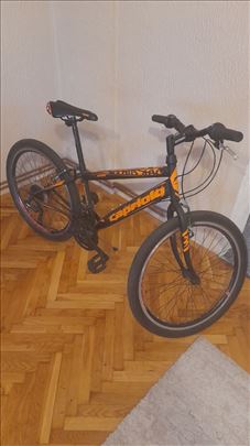 Prodajem biciklu(capriolo)