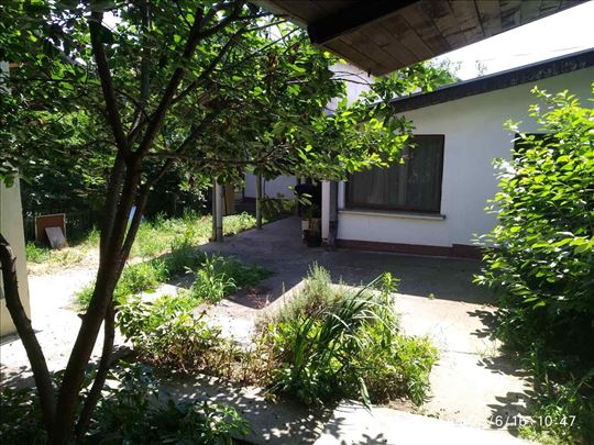 Staro sajmište, 170 m2 na 3 ara