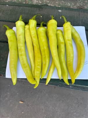 Sveža ljuta paprika 