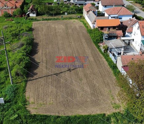 Dobanovci, 9 ari, atraktivno