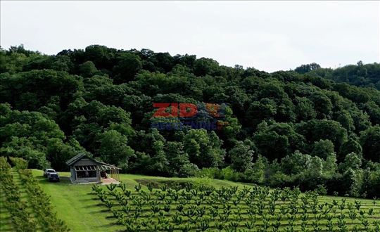 Imanje za uživanje 4,3ha u lovištu, 30 min od BG