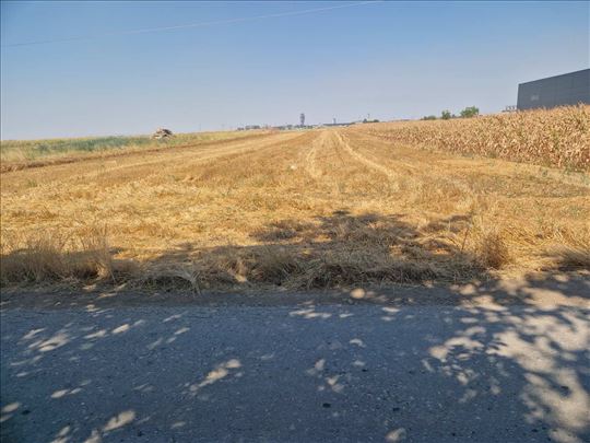 Surčin, zemljište 100 ari, ID 25989