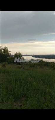 Višnjica – građevinsko zemljište. Pogled na Dunav