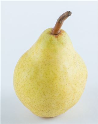 Viljamovka