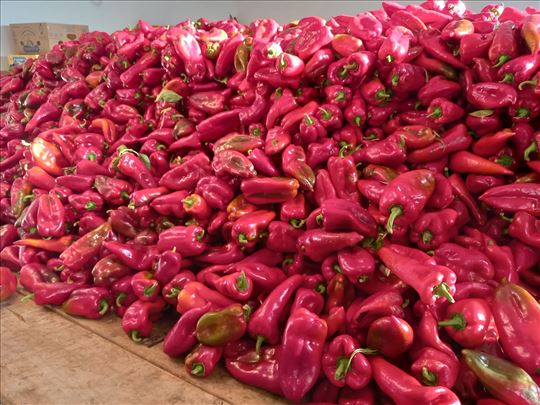 Crvena paprika prodaja