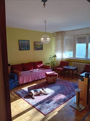 Mirijevo, 3.0, uknjižn