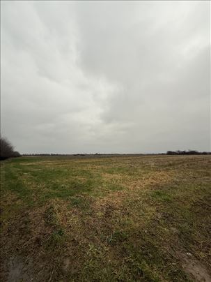 Poljoprivredno zemljište 235 ari – Grabovac (Dubra