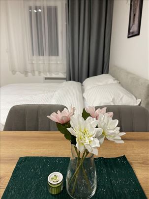 Jednosoban stan 33m² – novogradnja Ledine, 92.400