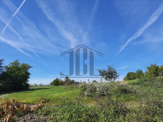 Lipovica Nenadovac, 20 ari ID 2641