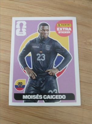 Na prodaju Moises Caicedo ljubicasti