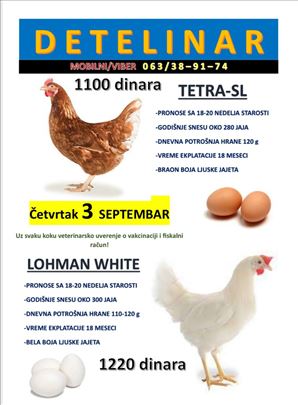 Prodaja nosilja – hibridi TETRA‑SL i LOHMAN WHITE