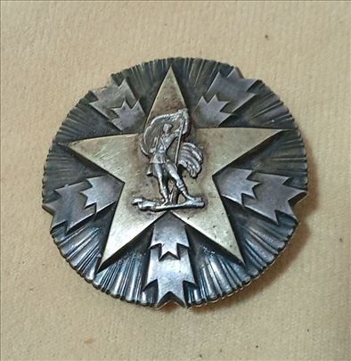 Orden zasluga za narod sa srebrnom zvezdom
