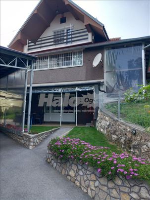 Kuce na Jelici 